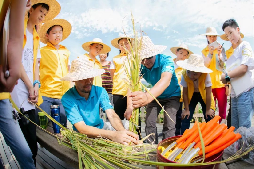 青少年参与户外活动的独特收获