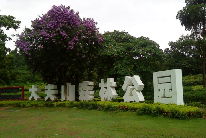 广州拓展基地之番禺大夫山拓展基地