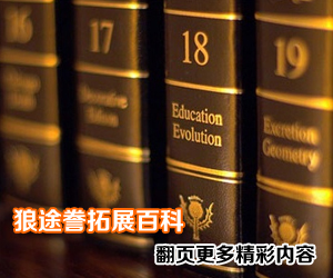夏天户外拓展项目有哪些？