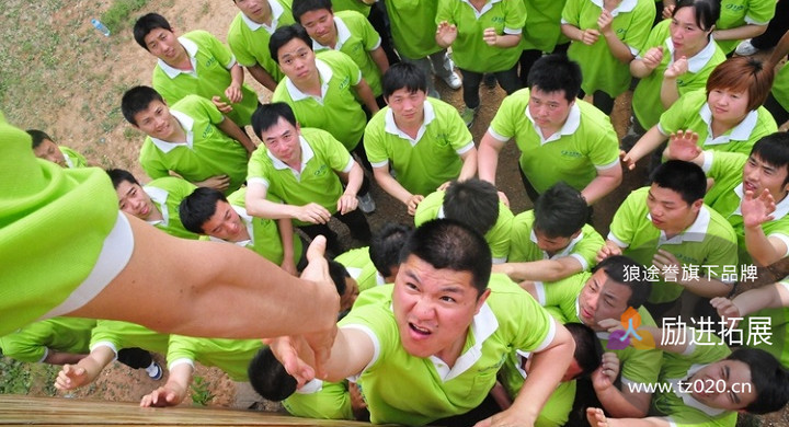 毕业墙如何考察团队问题?