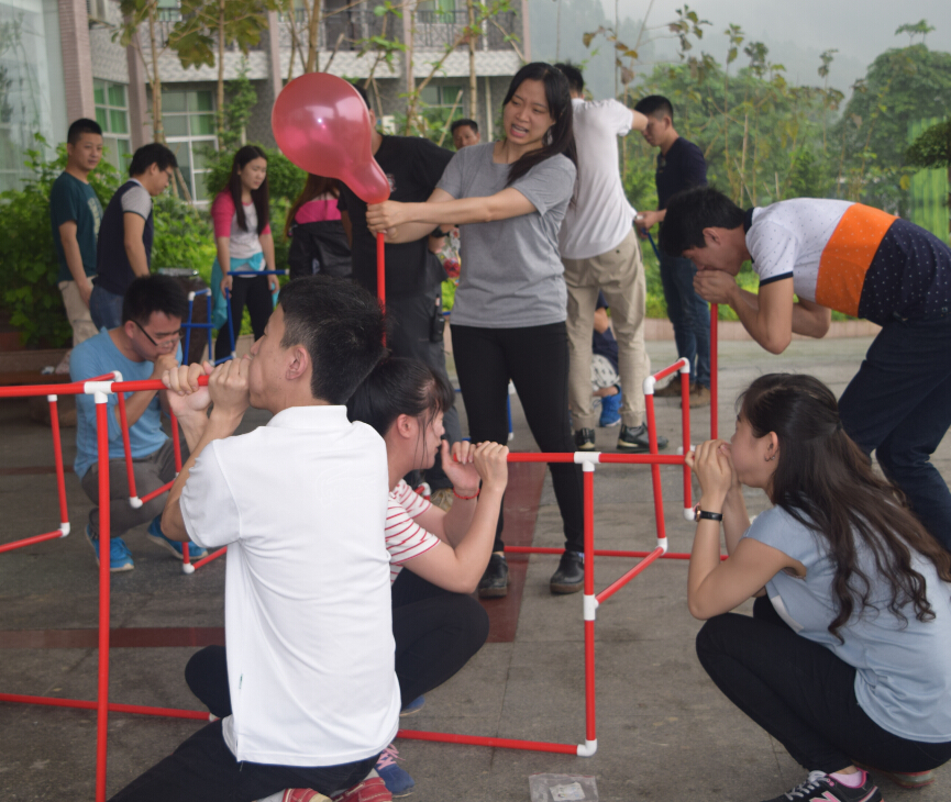 企业员工素质拓展方案策划