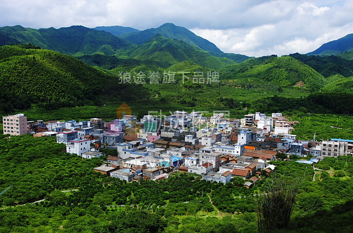 广东再担保2016溪头村两天一夜野炊拓展活动 广东再担保2016溪头村两天一夜野炊拓展活动