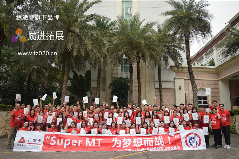 什么是公司企业单位团队的执行力？