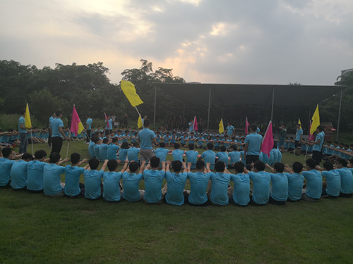 公司想做团建活动，有什么好的方案推荐