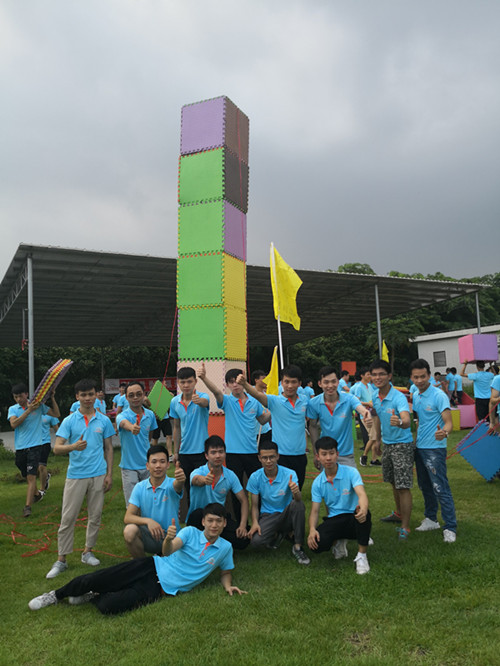 公司想做团建活动，有什么好的方案推荐